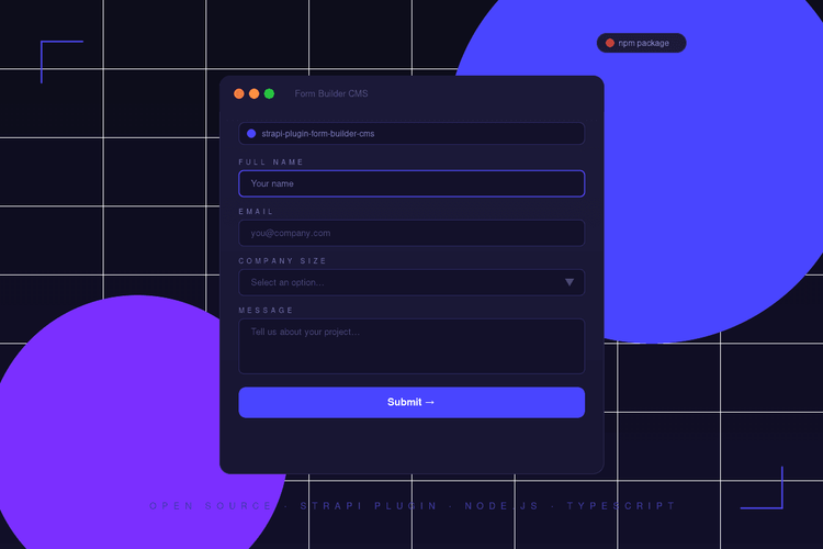 strapi-plugin-form-builder-cms
